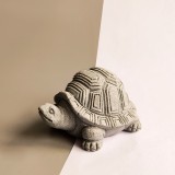 Кам'яний чашень "Мудрість черепахи"